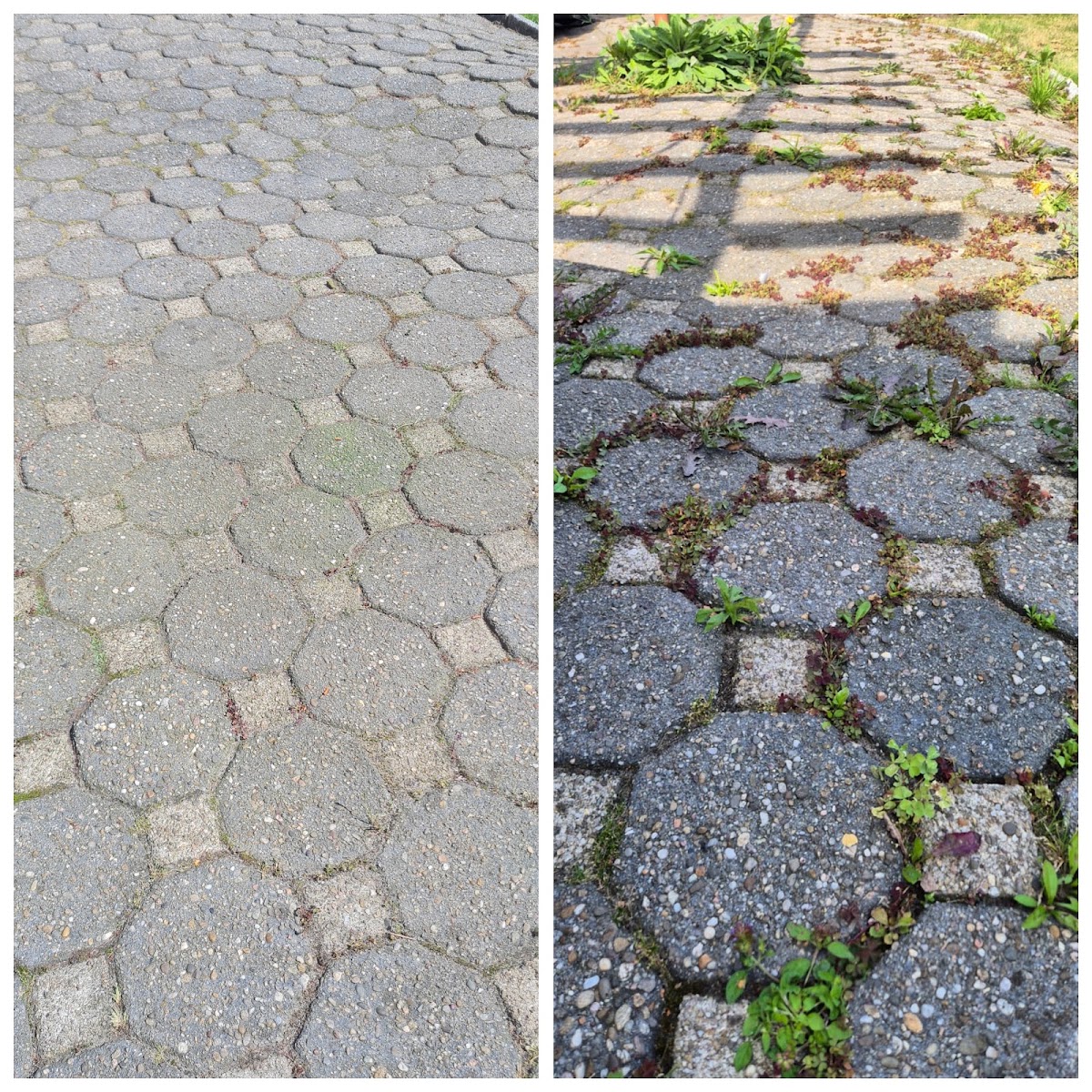 Vorher und nachher: Pflasterfläche von Unkraut befreit